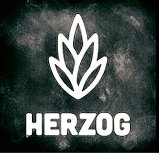 הרצוג